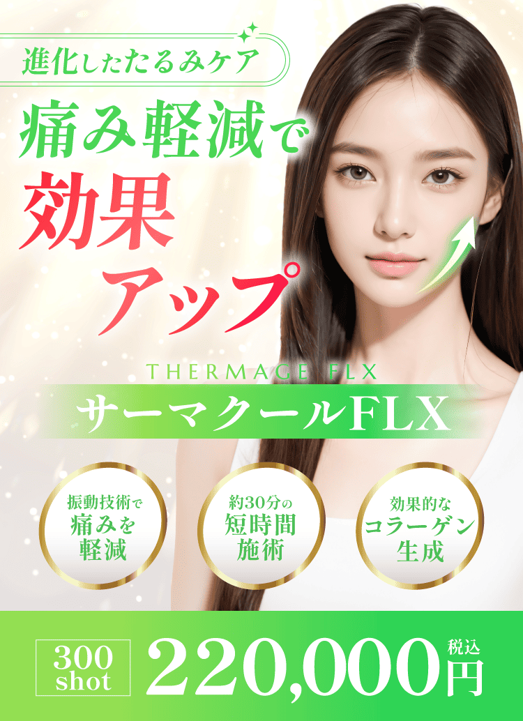 plan_fv_サーマクールFLX01-
