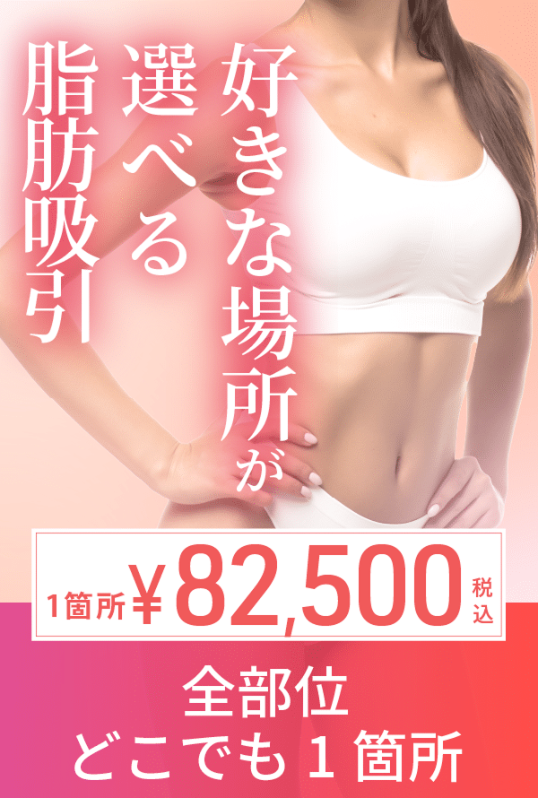 脂肪吸引モニター